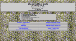 Desktop Screenshot of bluebonnetrealestate.com